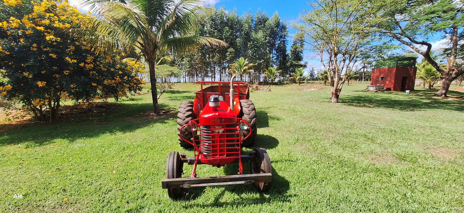 Massey Ferguson 1974/1975 - imagem 3