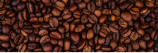 Capa do canal Café