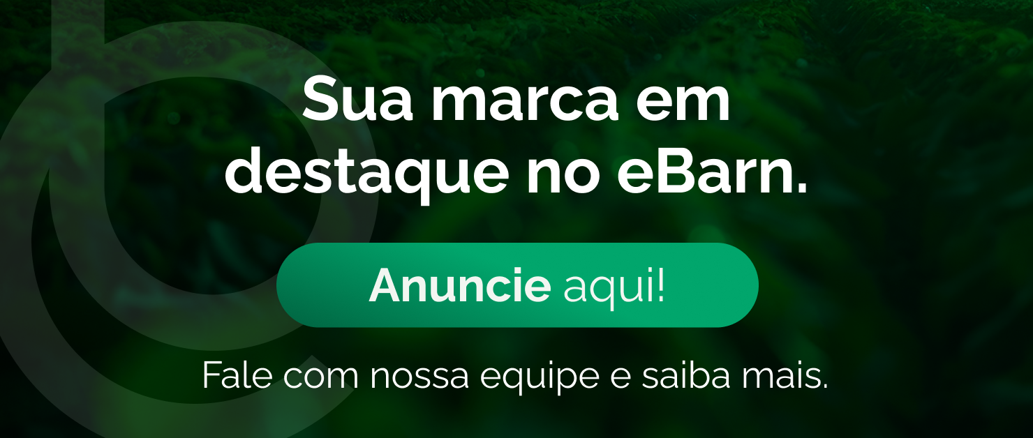 Anuncie aqui!