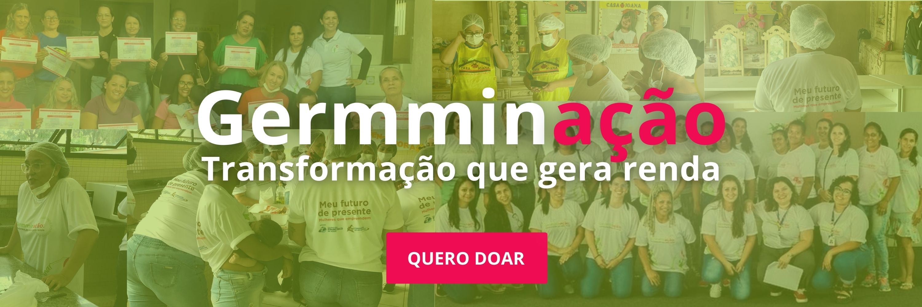 Germminação - transformação que gera renda